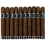Acid 20 Toro (6x50) 10-Pack